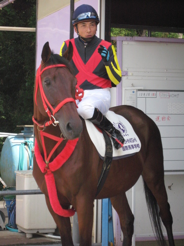 2010 038.jpg