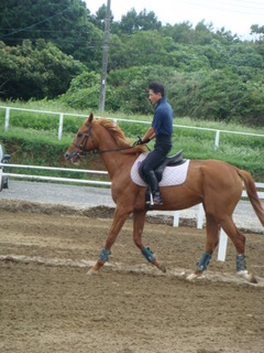 画像 141.jpg