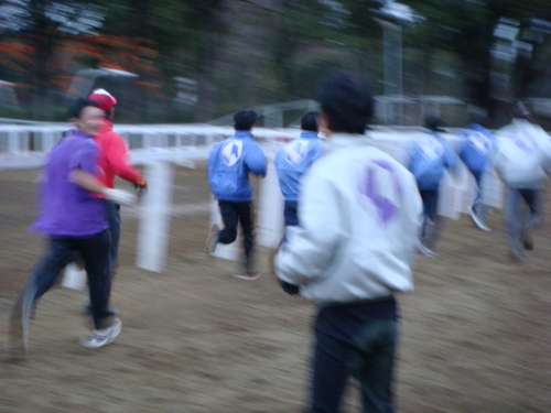 DSC08962.JPG